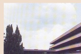 Vista del patio de la Facultad (Imagen 1)