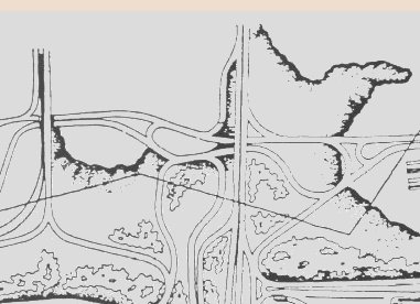 Planta de Conjunto (Imagen 2)